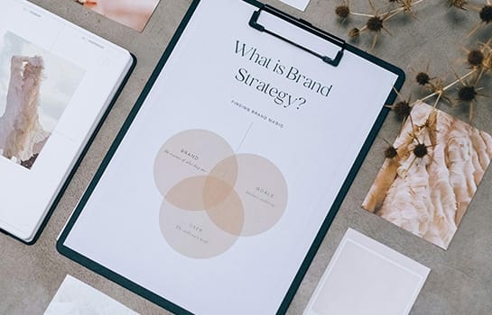 Visual identity and web design that bring your brand vision to life