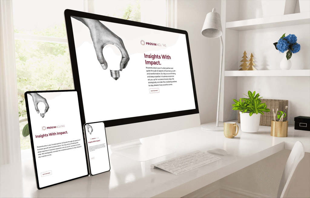 ProsimAcuitas Site Mock Up